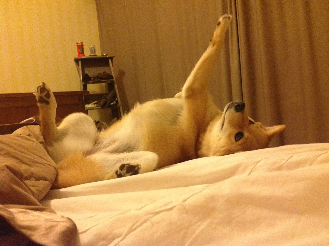 开云网址-“青春同行”青少年青训合作项目在北京正式启动，推动区域合作战略