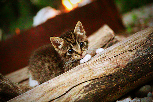 勇士精彩逆转！，勇士逆风翻盘的比赛